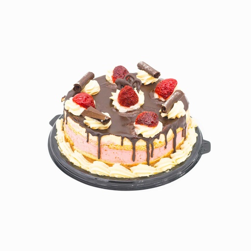 [17] Torta Helada